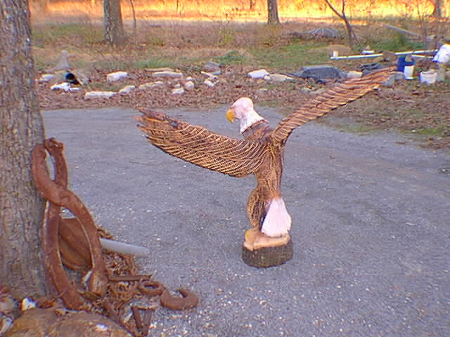 big eagle back