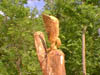chesser small eagle