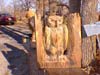 owl